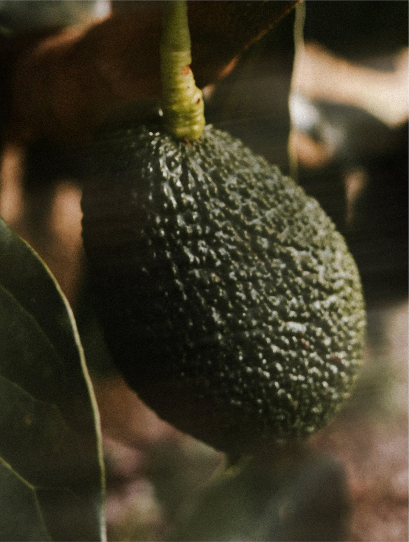 Vitamin C Serum texture